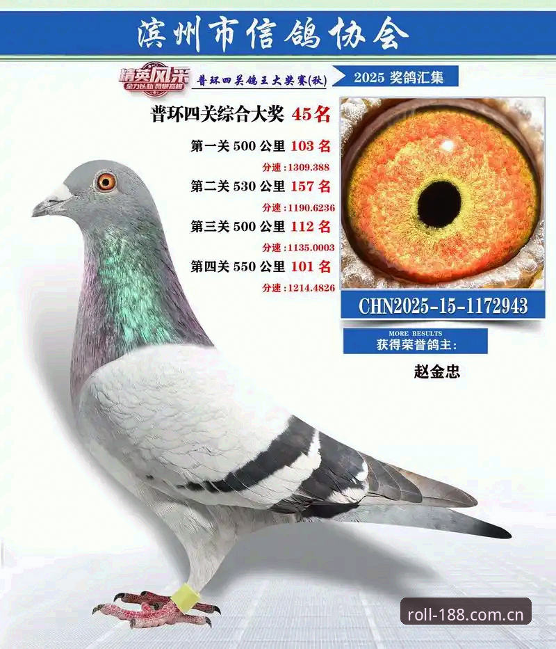投注滚球体育更新日志：一个体育数据老鸟的实战内参